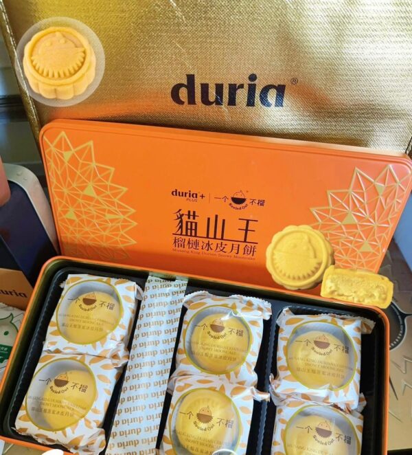 Duria 猫山王尖不辣 (cempedak) - Image 3